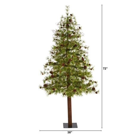 6' Wyoming Alpine Artificial Christmas Tree with 150 Clear (multifunction) LED Lights and Pine Cones on Natural Trunk-Christmas Tree-Parc Decor