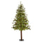 6' Wyoming Alpine Artificial Christmas Tree with 150 Clear (multifunction) LED Lights and Pine Cones on Natural Trunk-Christmas Tree-Parc Decor