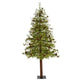 6' Wyoming Alpine Artificial Christmas Tree with 150 Clear (multifunction) LED Lights and Pine Cones on Natural Trunk-Christmas Tree-Parc Decor