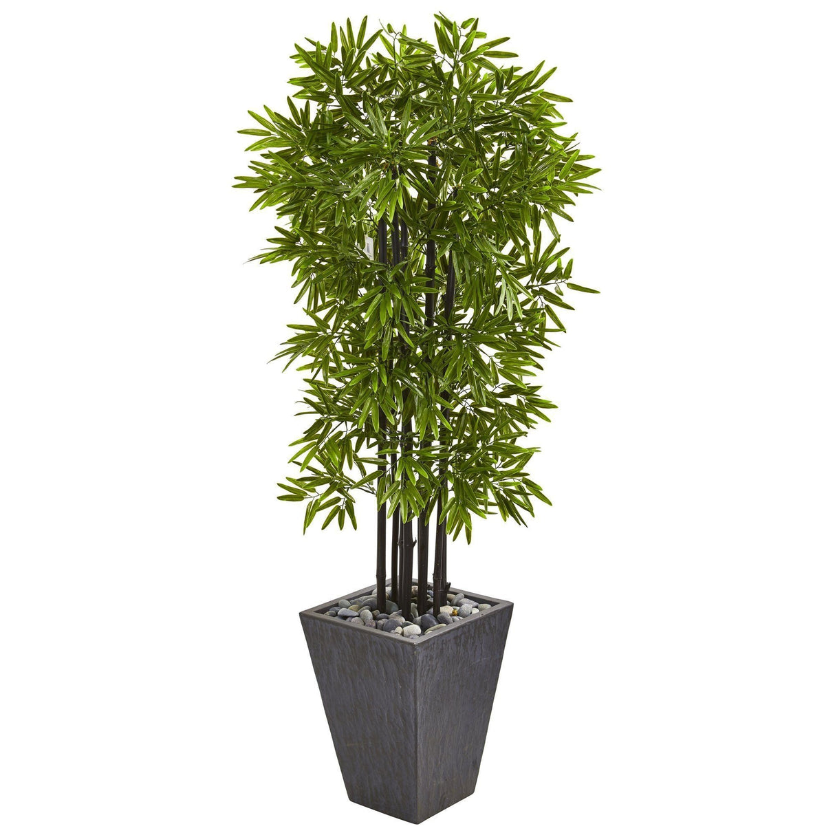 61” Bamboo Artificial Tree with Black Trunks in Slate Planter (Indoor/Outdoor)-Parc Decor