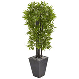61” Bamboo Artificial Tree with Black Trunks in Slate Planter (Indoor/Outdoor)-Parc Decor