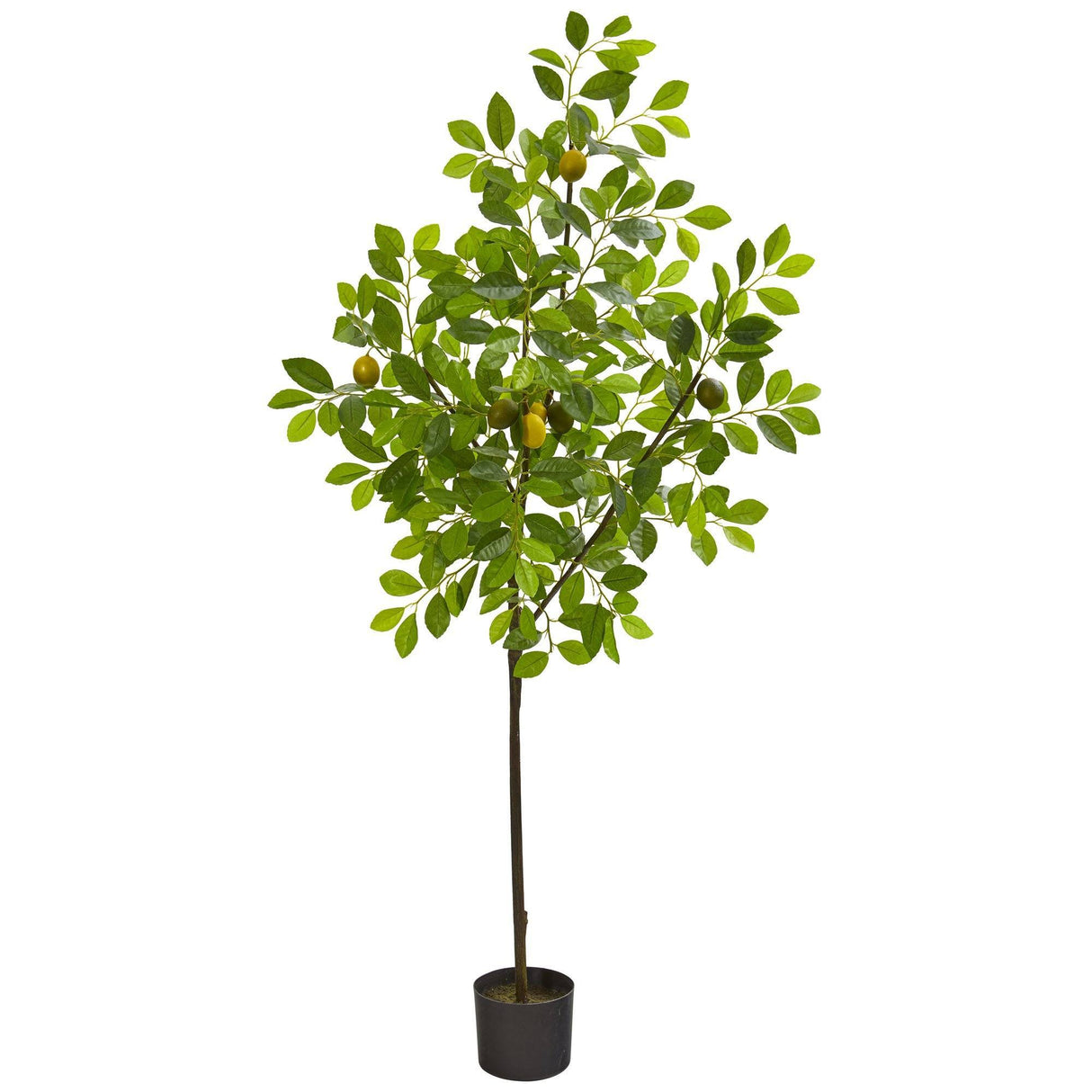61” Lemon Artificial Tree-Parc Decor
