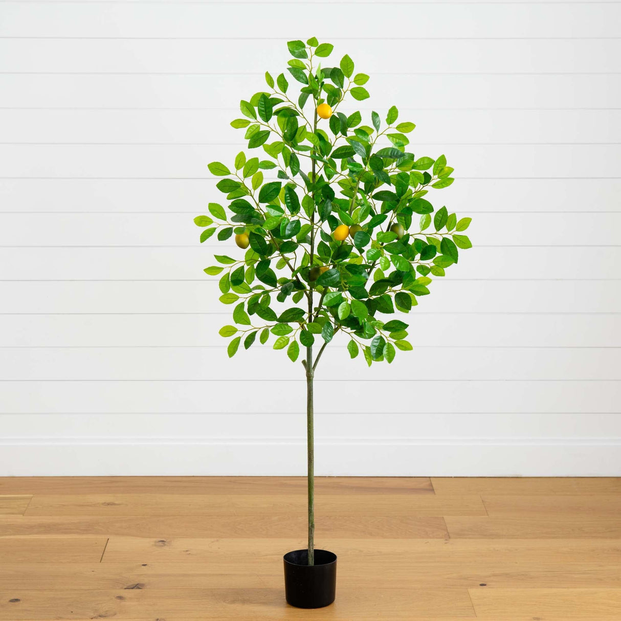 61” Lemon Artificial Tree-Parc Decor