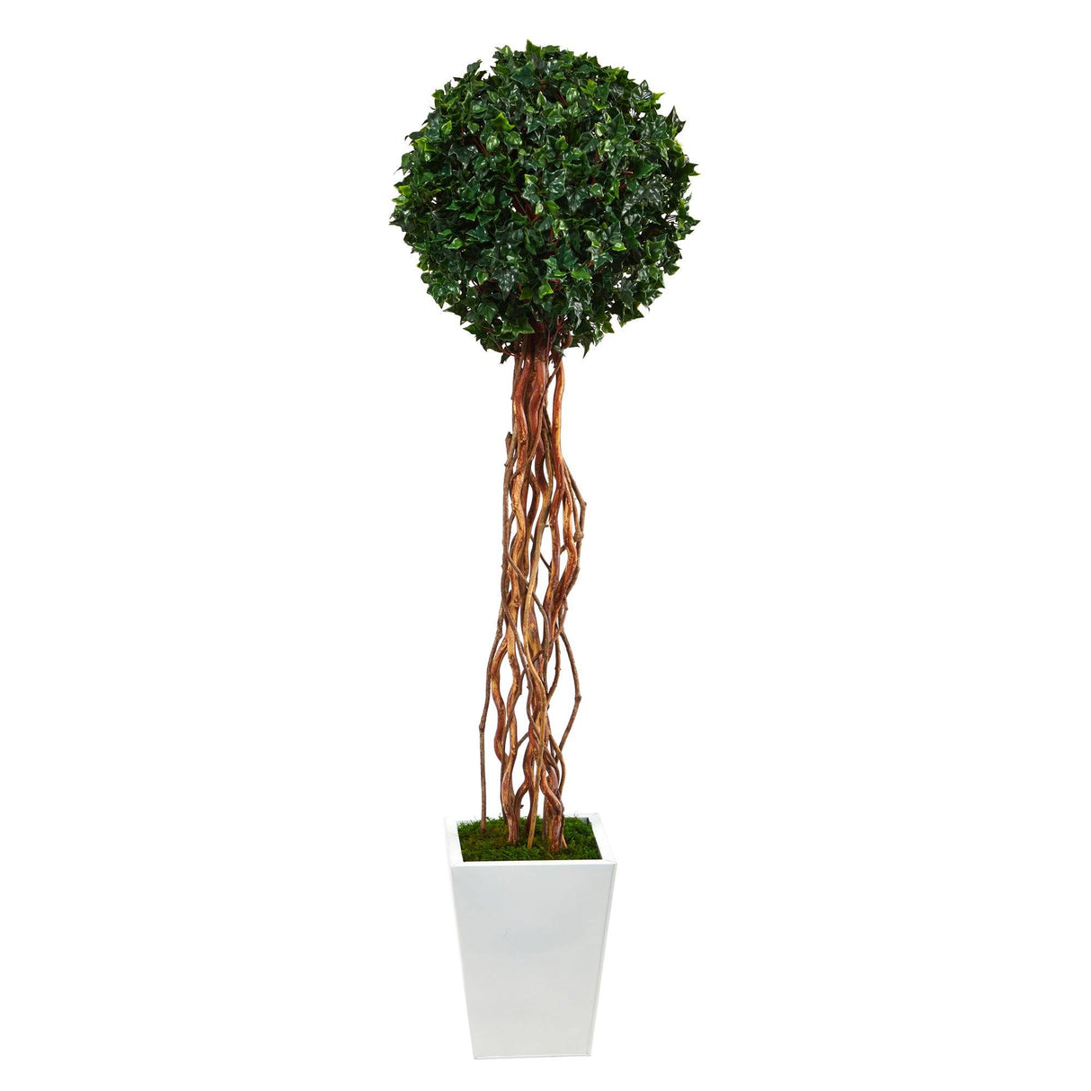 62” English Ivy Single Ball Artificial Topiary Tree in White Metal Planter (Indoor/Outdoor)-Parc Decor