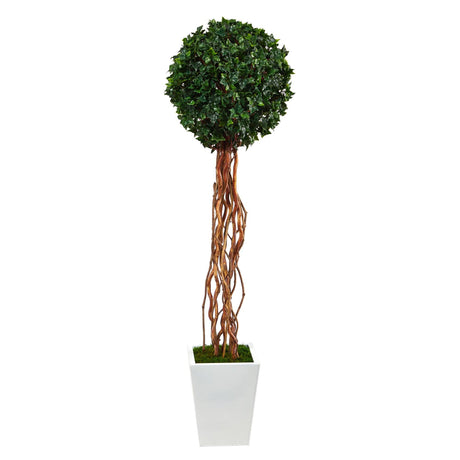62” English Ivy Single Ball Artificial Topiary Tree in White Metal Planter (Indoor/Outdoor)-Parc Decor