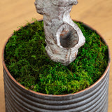 62” Olive Artificial Tree in Ribbed Metal Planter-Parc Decor