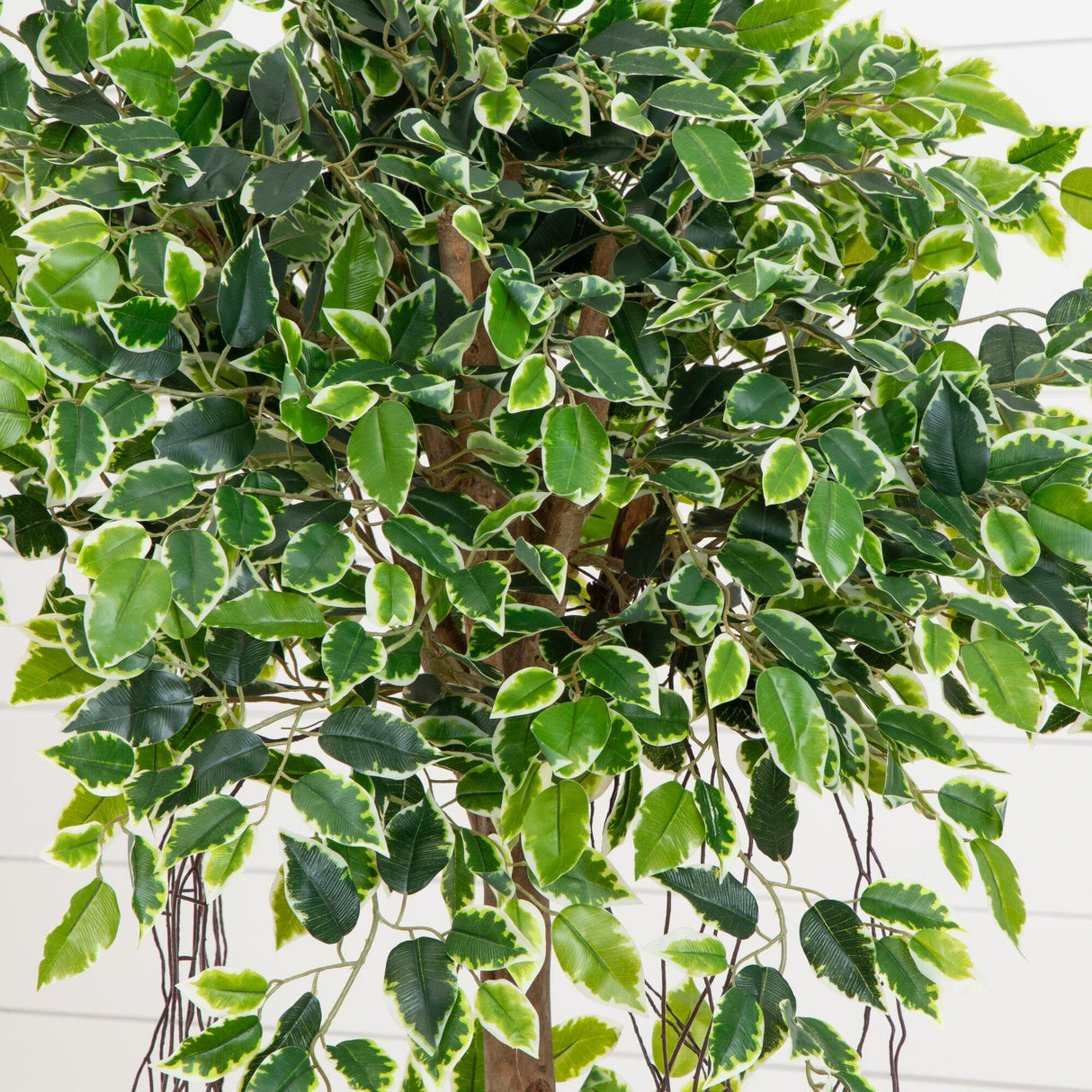 63” Elegant Ficus Artificial Tree in Sandstone Planter-Parc Decor