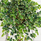 63” Elegant Ficus Artificial Tree in Sandstone Planter-Parc Decor