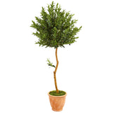 63” Olive Topiary Artificial Tree in Terra Cotta Planter (Indoor/Outdoor)-Parc Decor