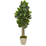 63” Rubber Leaf Artificial Tree in Country White Planter-Parc Decor