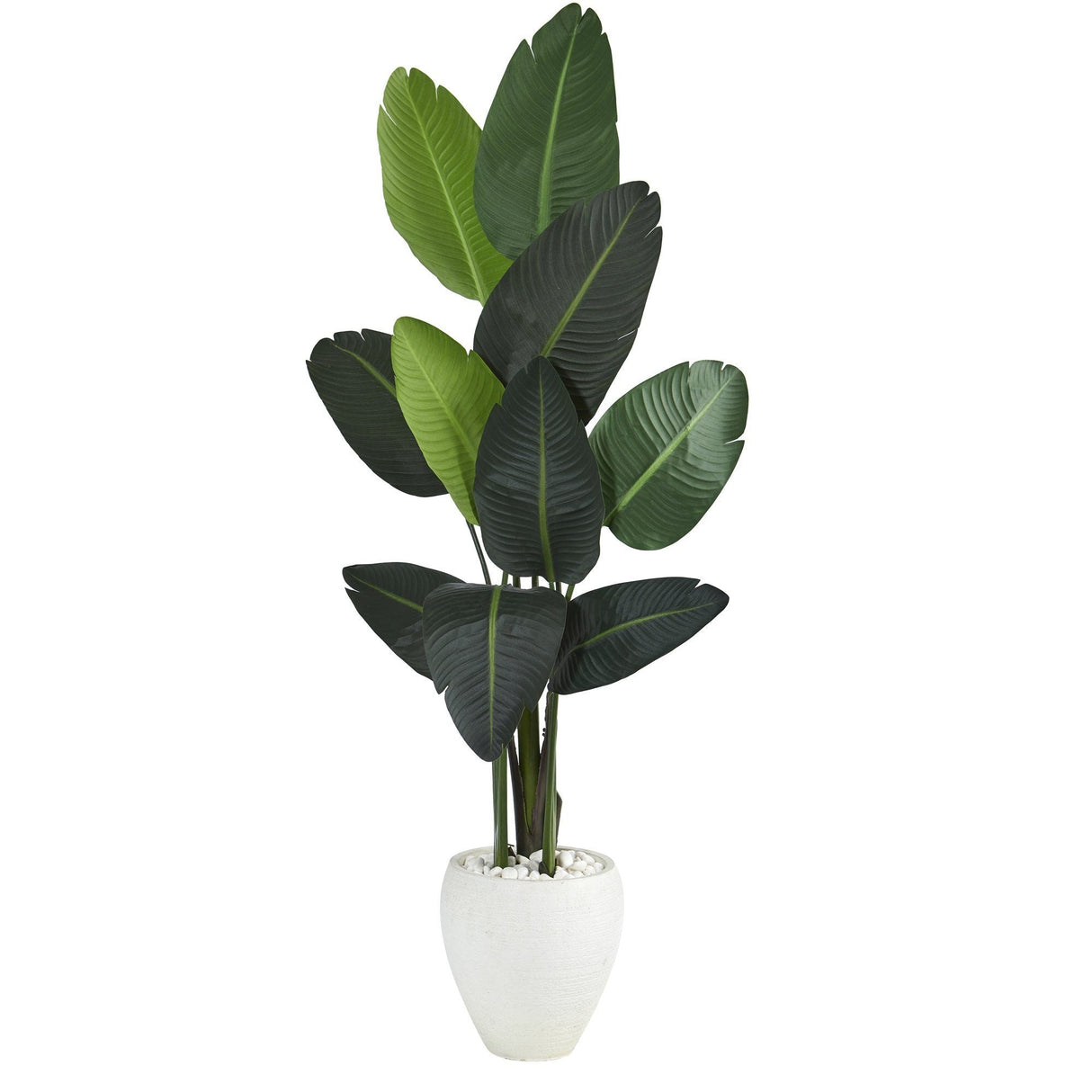 63” Traveler's Palm Artificial tree in White Planter-Parc Decor