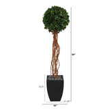 64” English Ivy Single Ball Artificial Topiary Tree in Black Planter (Indoor/Outdoor)-Parc Decor