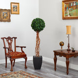 64” English Ivy Single Ball Artificial Topiary Tree in Black Planter (Indoor/Outdoor)-Parc Decor