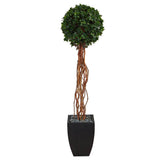 64” English Ivy Single Ball Artificial Topiary Tree in Black Planter (Indoor/Outdoor)-Parc Decor