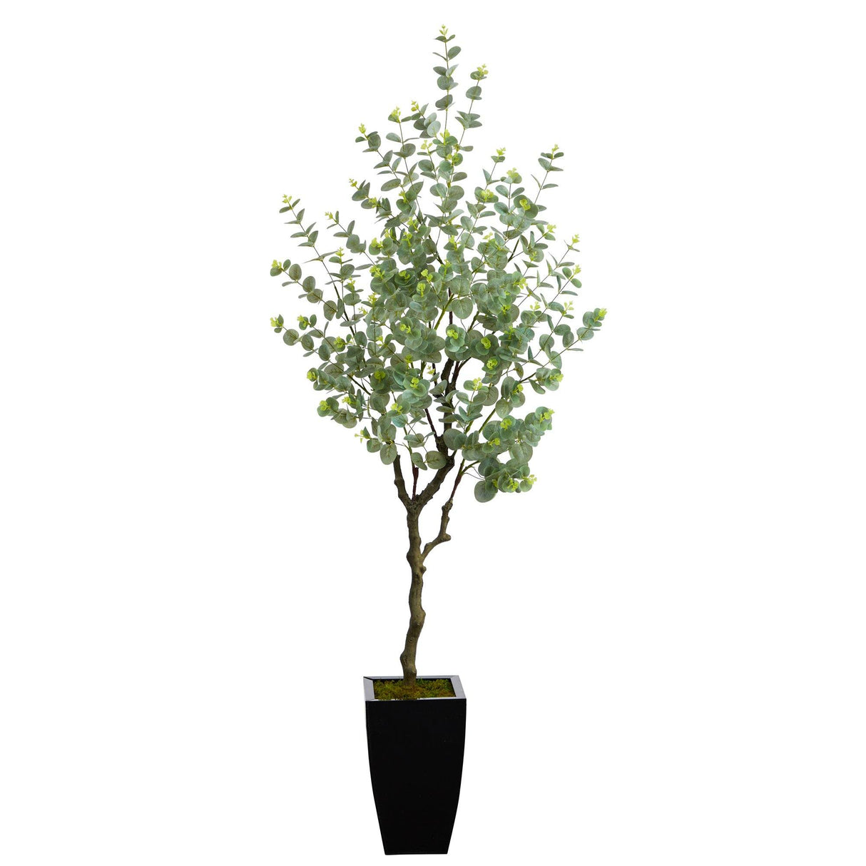 64” Eucalyptus Artificial Tree in Black Metal Planter-Parc Decor