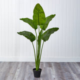 64” Travelers Palm Tree UV Resistant (Indoor/Outdoor)-Parc Decor