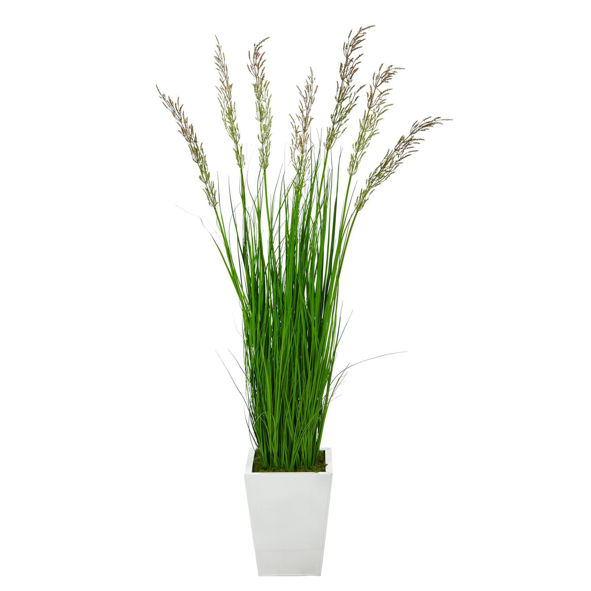 64” Wheat Grass Artificial Plant in White Metal Planter-Parc Decor
