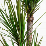 64” Yucca Artificial Tree in Sand Colored Planter-Parc Decor