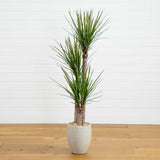 64” Yucca Artificial Tree in Sand Colored Planter-Parc Decor