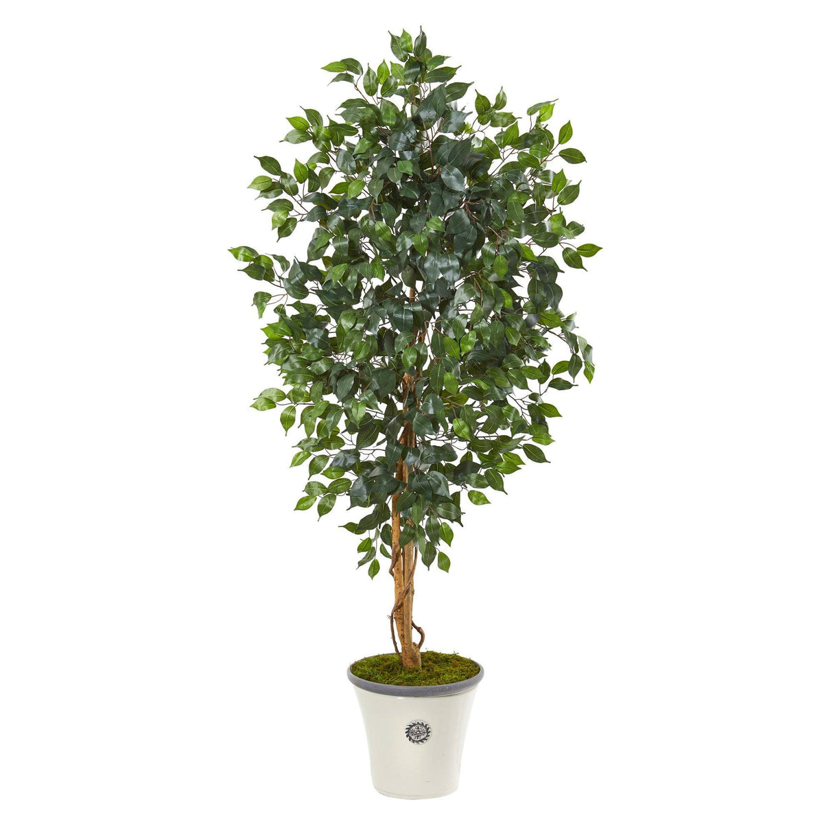 65” Ficus Artificial Tree in Decorative Planter-Parc Decor