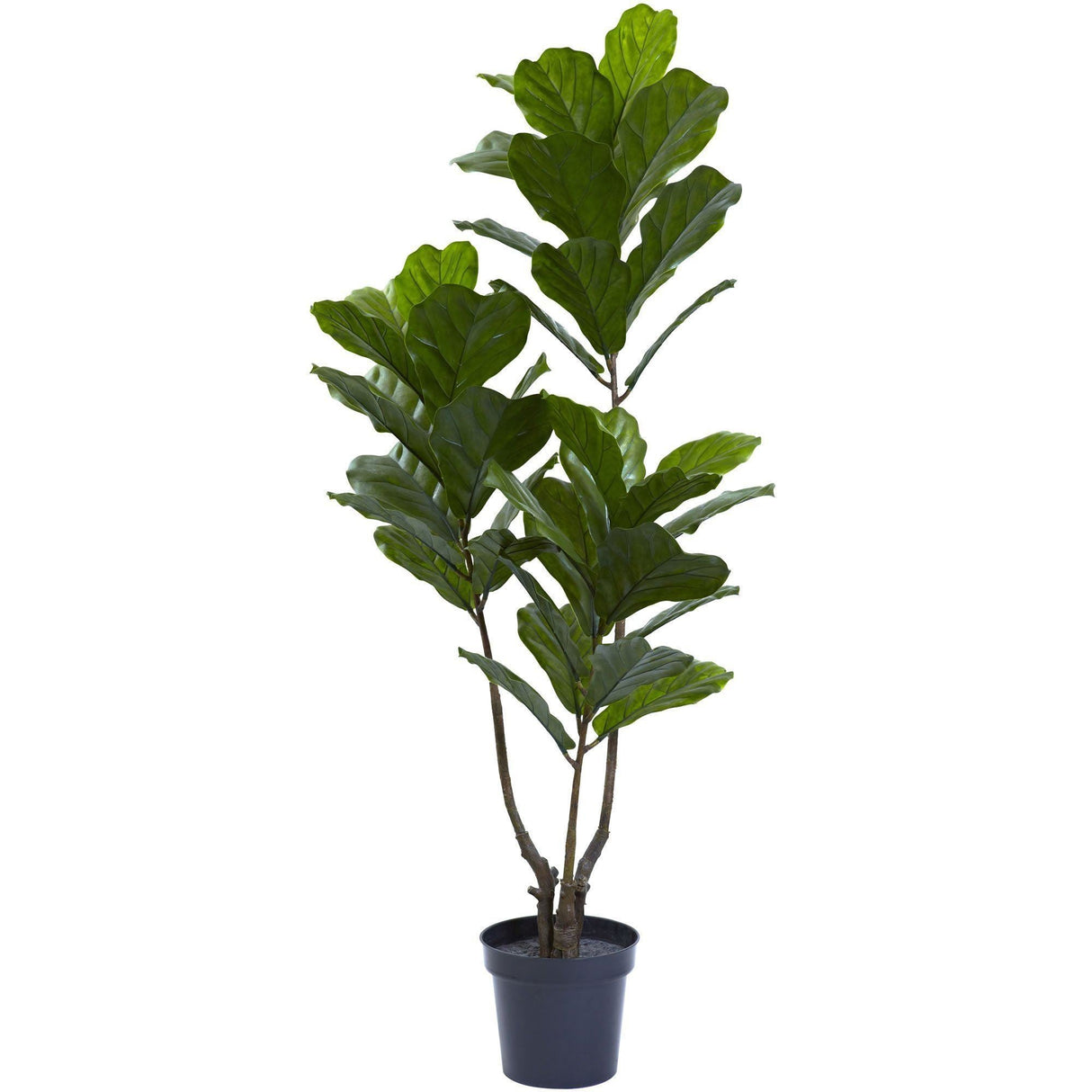 65” Fiddle Leaf Tree UV Resistant (Indoor/Outdoor)-Parc Decor