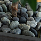 67” Olive Cone Topiary Artificial Tree in Slate Planter (Indoor/Outdoor)-Parc Decor