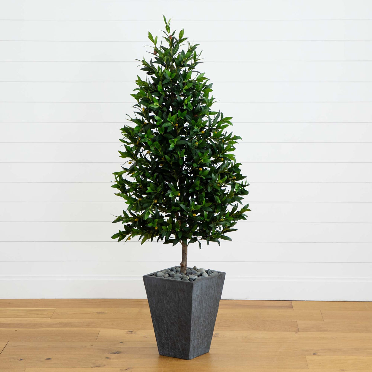 67” Olive Cone Topiary Artificial Tree in Slate Planter (Indoor/Outdoor)-Parc Decor