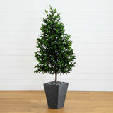 67” Olive Cone Topiary Artificial Tree in Slate Planter (Indoor/Outdoor)-Parc Decor