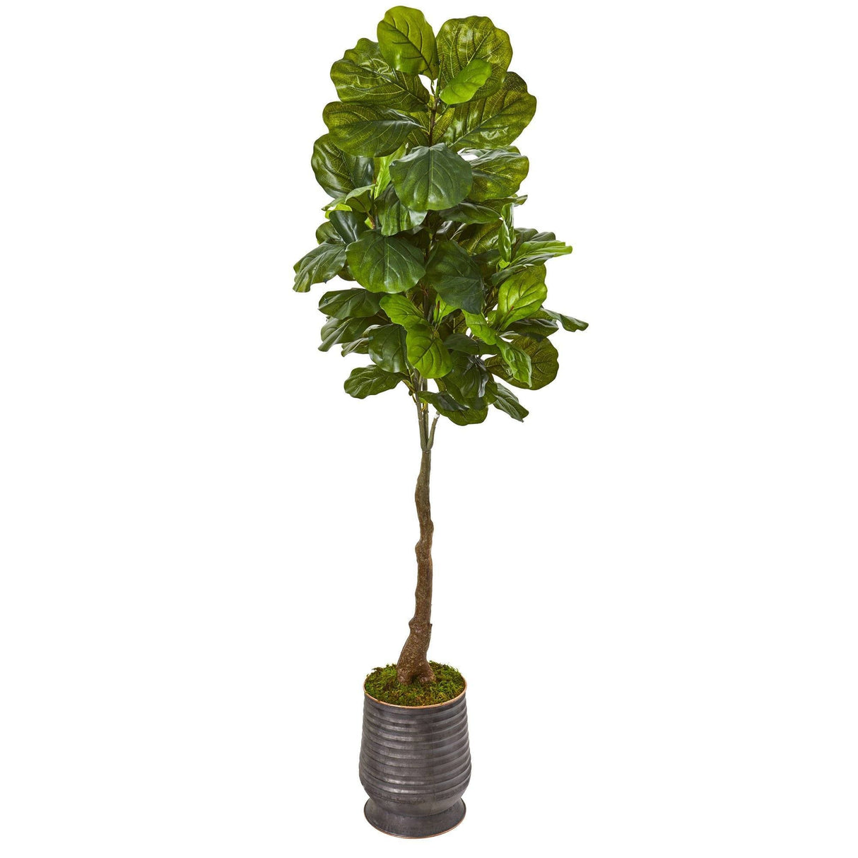 69” Fiddle Leaf Artificial Tree in Ribbed Metal Planter (Real Touch)-Parc Decor