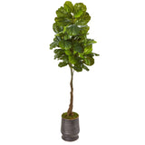 69” Fiddle Leaf Artificial Tree in Ribbed Metal Planter (Real Touch)-Parc Decor