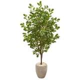 69” Oak Artificial Tree in Sand Colored Planter-Parc Decor