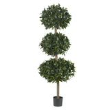 69" Sweet Bay Triple Ball Tree"-Parc Decor