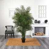 6.5' Areca Palm UV Resistant (Indoor/Outdoor)-Parc Decor