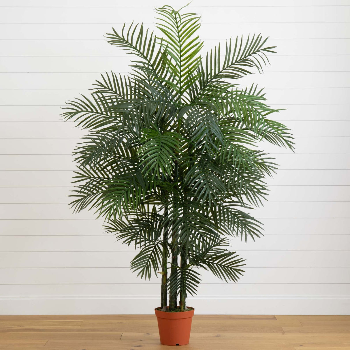 6.5' Areca Palm UV Resistant (Indoor/Outdoor)-Parc Decor