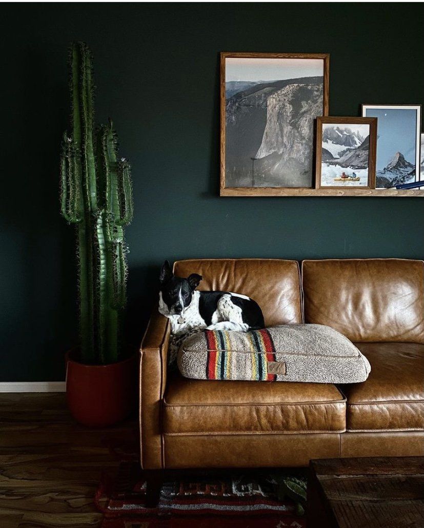 6.5’ Cactus Artificial Plant-Parc Decor