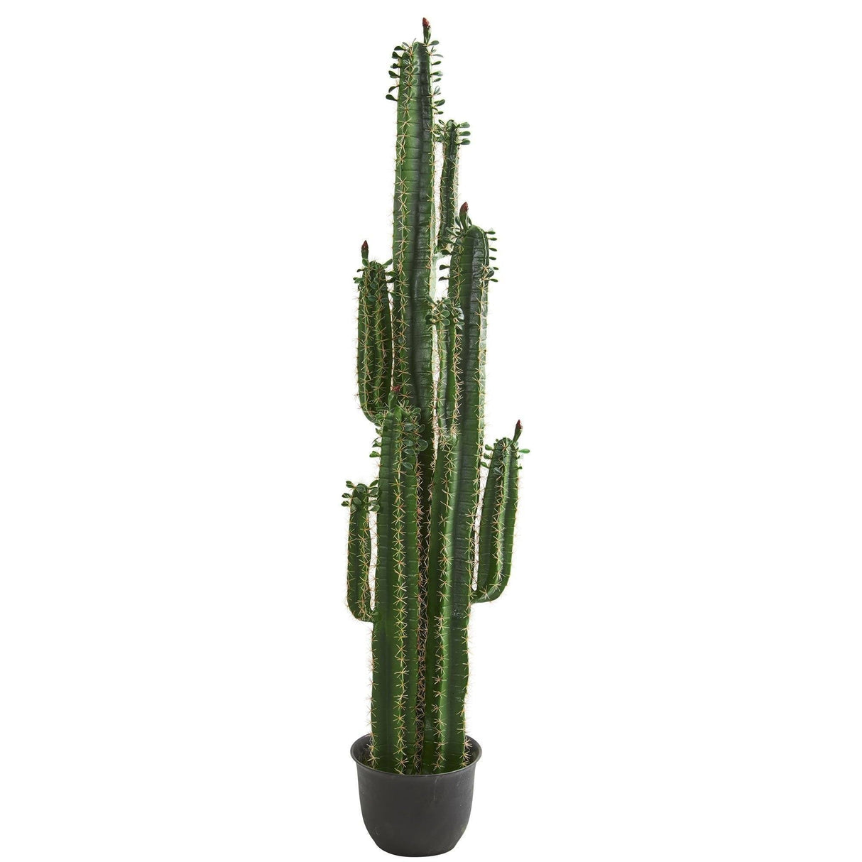 6.5’ Cactus Artificial Plant-Parc Decor