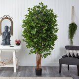 6.5’ Deluxe Ficus Tree-Parc Decor