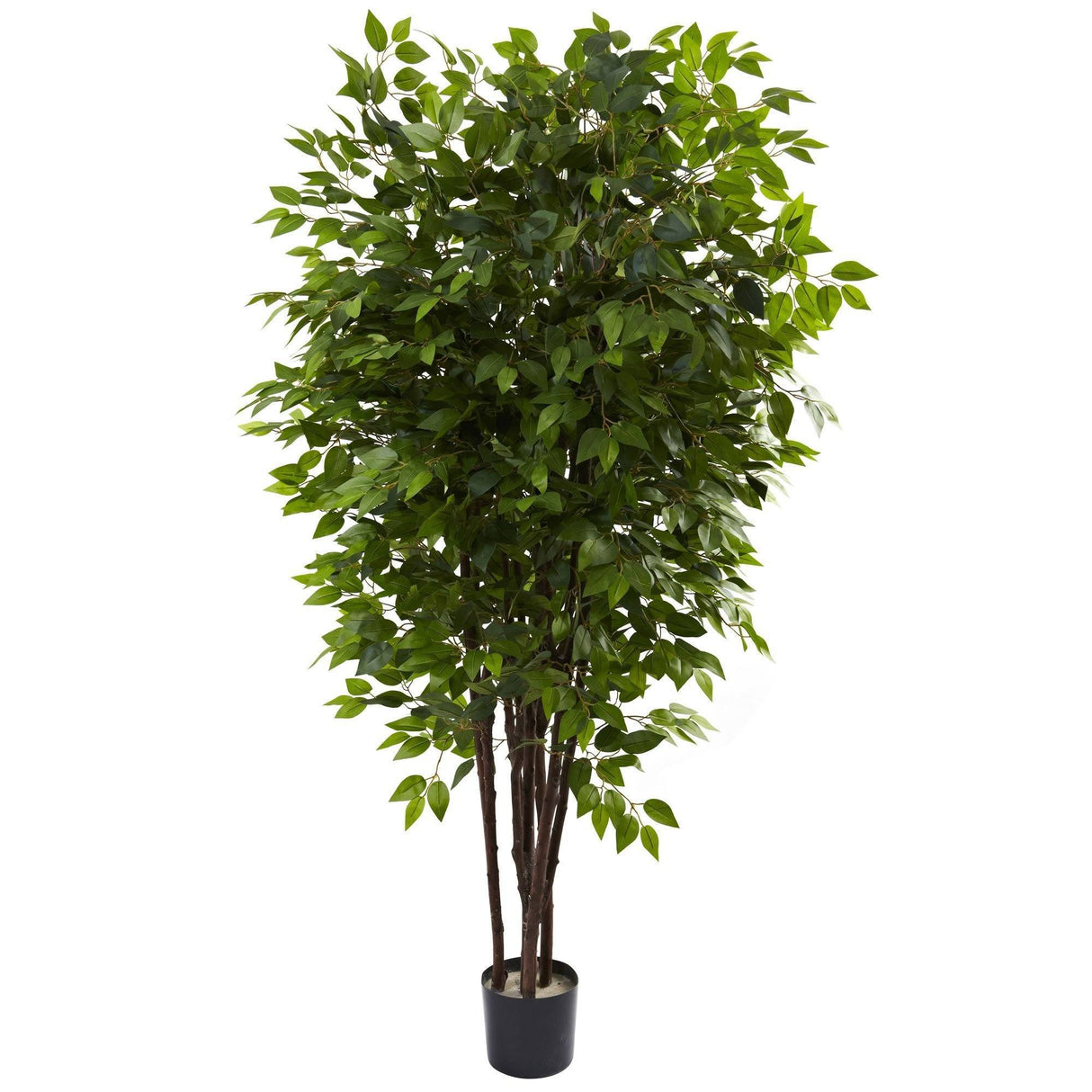 6.5’ Deluxe Ficus Tree-Parc Decor