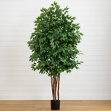 6.5’ Deluxe Ficus Tree-Parc Decor