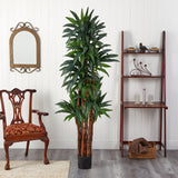 6.5’ Dracaena Tree-Parc Decor