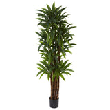 6.5’ Dracaena Tree-Parc Decor