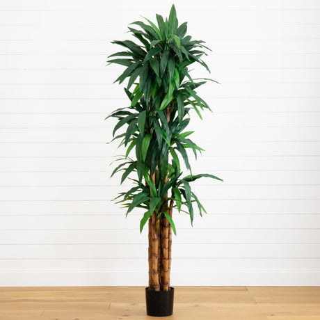 6.5’ Dracaena Tree-Parc Decor