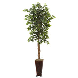 6.5’ Ficus w/Decorative Planter-Parc Decor