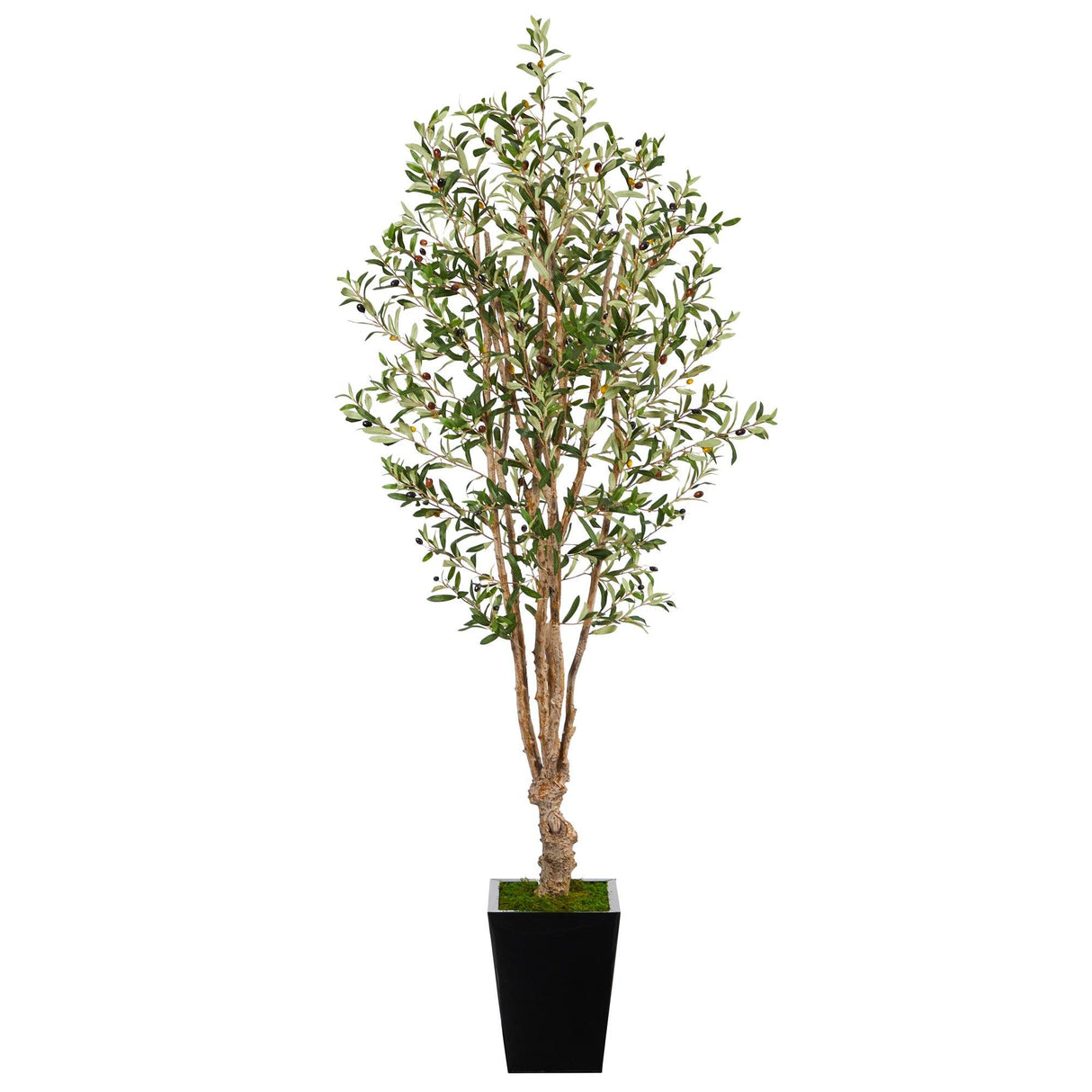 6.5’ Olive Artificial Tree in Black Metal Planter-Parc Decor