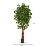 6.5’ Super Deluxe Ficus Artificial Tree with Natural Trunk-Parc Decor