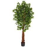6.5’ Super Deluxe Ficus Artificial Tree with Natural Trunk-Parc Decor