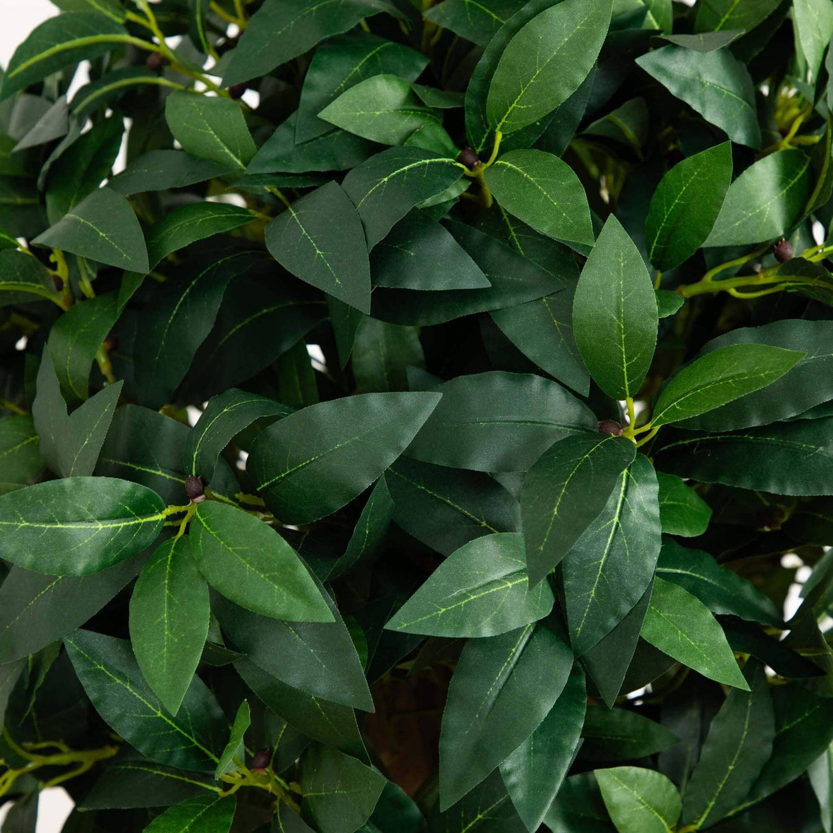 6.5’ Sweet Bay Triple Ball Topiary-Parc Decor