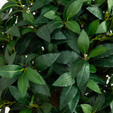 6.5’ Sweet Bay Triple Ball Topiary-Parc Decor