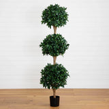 6.5’ Sweet Bay Triple Ball Topiary-Parc Decor