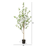 6.5' Minimalist Citrus Tree-Tree-Parc Decor